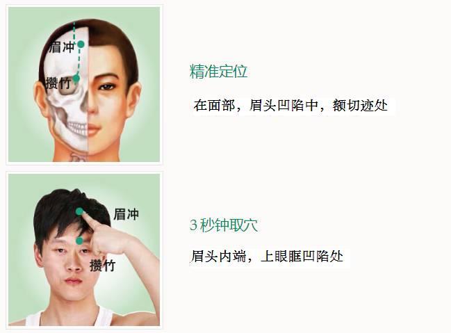 攒竹.jpg