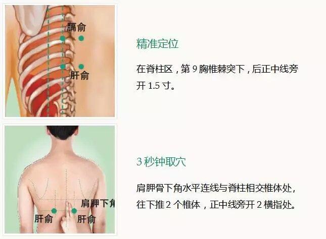 肝俞.jpg