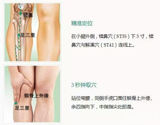 足三里.jpg