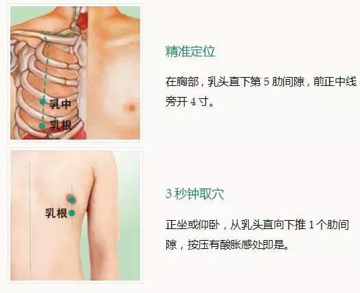 乳根.jpg