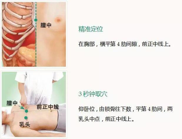 膻中.jpg