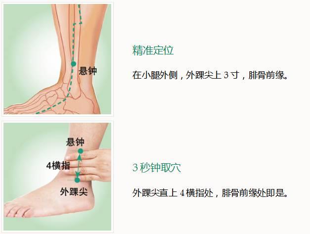 绝骨的作用图片